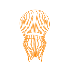 Animals Jellyfish Flower Hat Jelly Vinyl Cutting Svg File, Free Vectors File